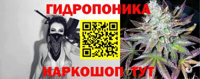 мдпв Донской