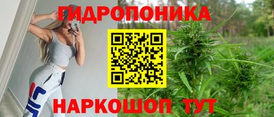 сатива Лесосибирск