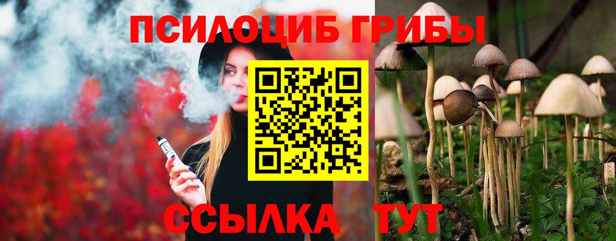 Галлюциногенные грибы MAGIC MUSHROOMS Назарово